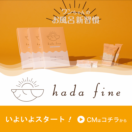 hada fine のCMスタート!