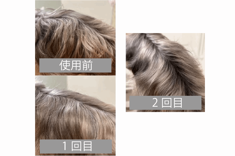 hada fine 1箱(3ヶ月分)