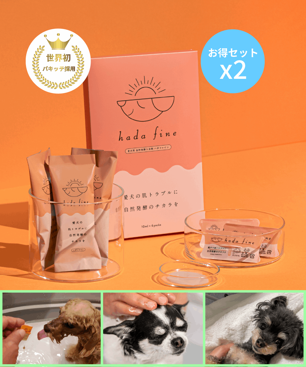 hada fine 2箱パック