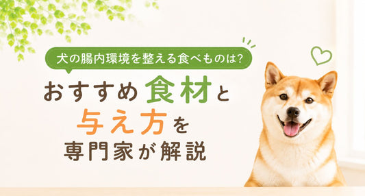 犬の腸内環境を整える食べものは？おすすめ食材と与え方を専門家が解説