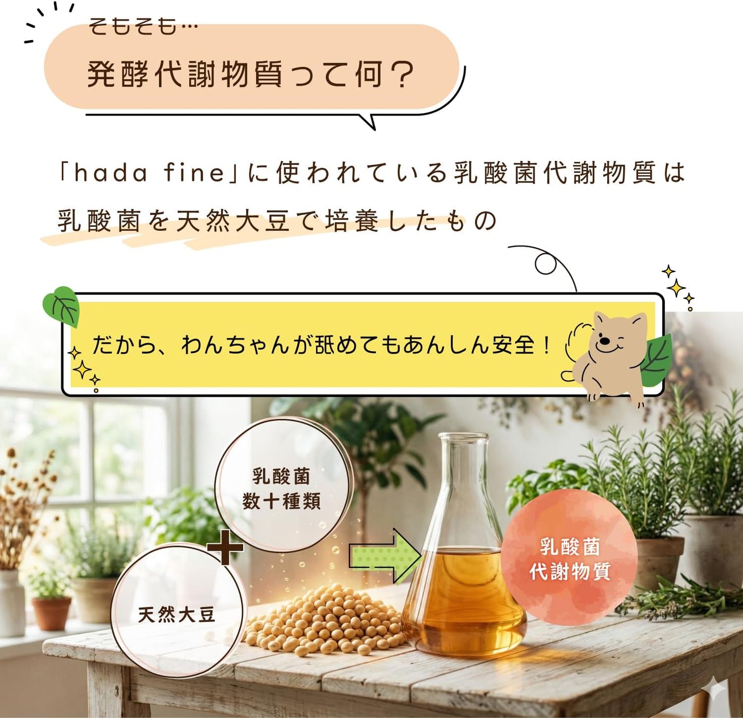 ハダファイン